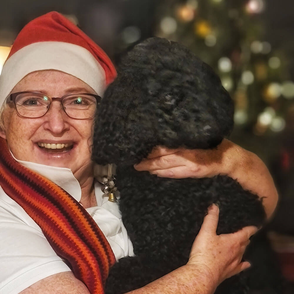 wir-von-pro-barrierefrei