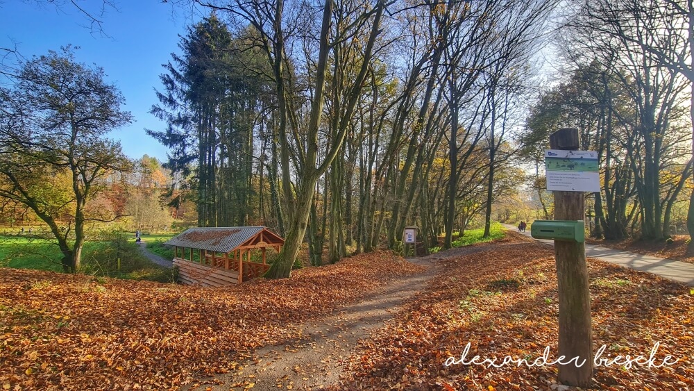 mit-dem-e-rollstuhl-zum-hammerhof